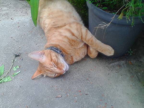 IMG_20160512_115645.jpg IMG_20160512_115645.jpg