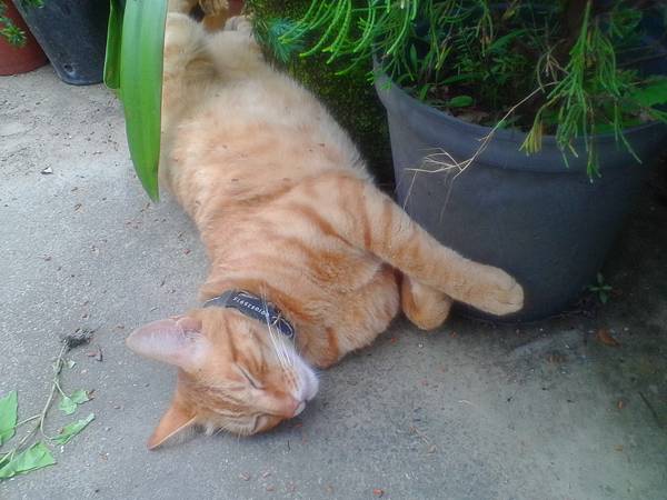 IMG_20160512_115648.jpg IMG_20160512_115648.jpg