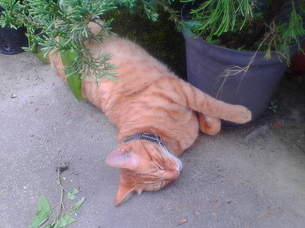 IMG_20160512_115653.jpg IMG_20160512_115653.jpg