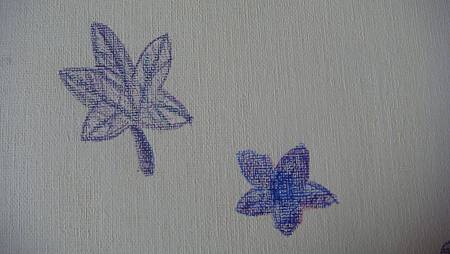 DSC01233.JPG DSC01233.JPG