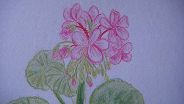 DSC01227.JPG DSC01227.JPG