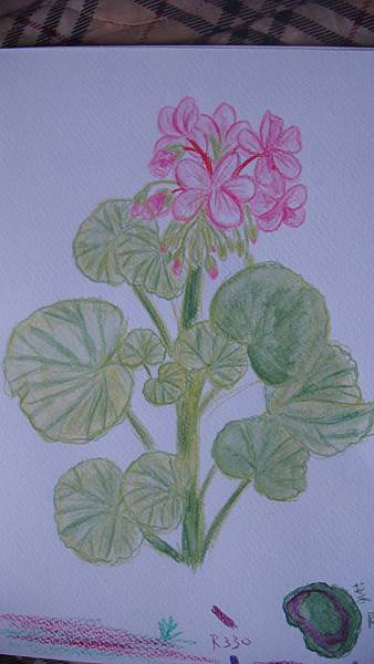 DSC01230.JPG DSC01230.JPG