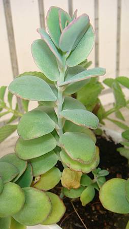 0319 (2).JPG 0319 (2).JPG