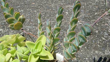 0703 (4).JPG 0703 (4).JPG