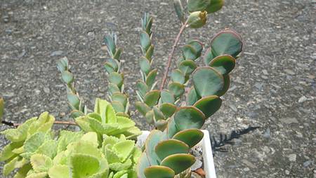 0720 (1).JPG 0720 (1).JPG