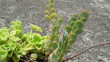 0814 (1).JPG 0814 (1).JPG