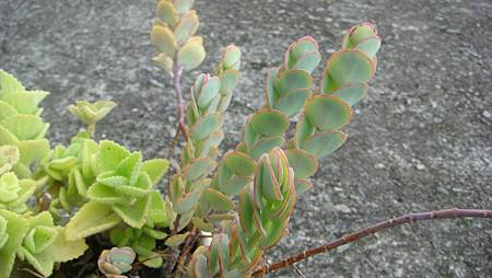 0901 (2).JPG 0901 (2).JPG