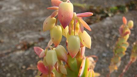 0118 (2).JPG 0118 (2).JPG