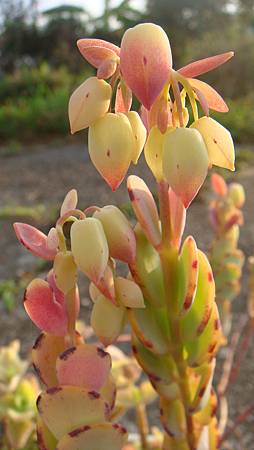 0118 (3).JPG 0118 (3).JPG