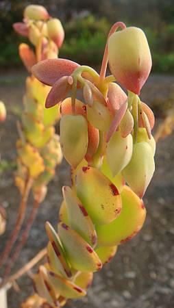 0118 (4).JPG 0118 (4).JPG