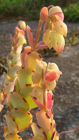 0118 (6).JPG 0118 (6).JPG