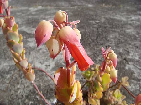 0125 (2).JPG 0125 (2).JPG