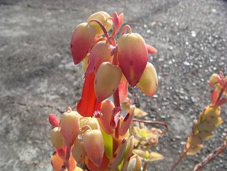 0125 (3).JPG 0125 (3).JPG