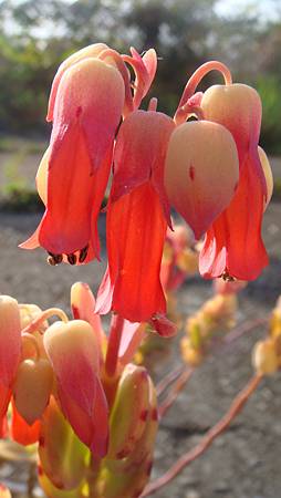 0131 (2).JPG 0131 (2).JPG