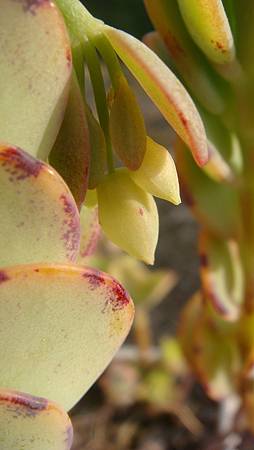 1231 (4).JPG 1231 (4).JPG