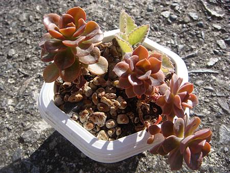 0104 (1).JPG 0104 (1).JPG