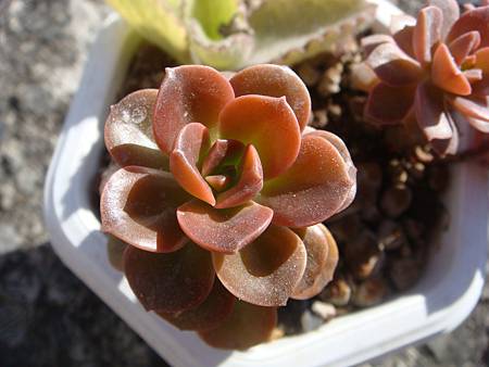 0104 (2).JPG 0104 (2).JPG