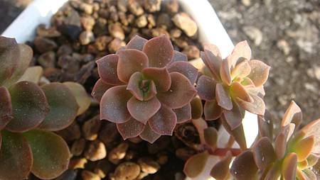 1231 (5).JPG 1231 (5).JPG