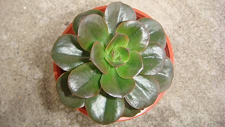 0218 (1).JPG 0218 (1).JPG