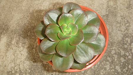 0218 (2).JPG 0218 (2).JPG