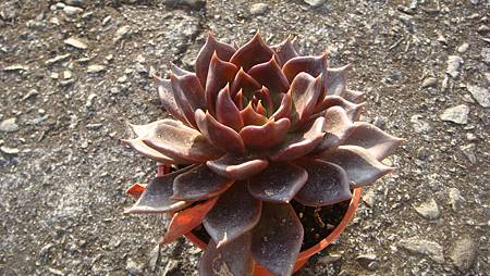 0118 (1).JPG 0118 (1).JPG