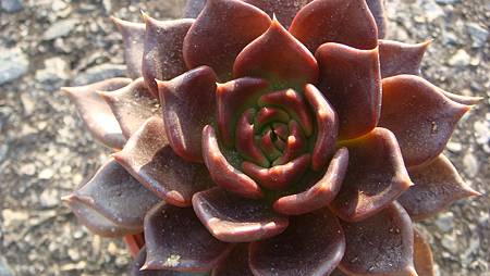 0118 (6).JPG 0118 (6).JPG