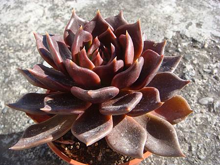 0125 (4).JPG 0125 (4).JPG