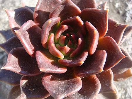 0125 (5).JPG 0125 (5).JPG