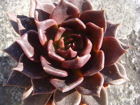 0125 (6).JPG 0125 (6).JPG