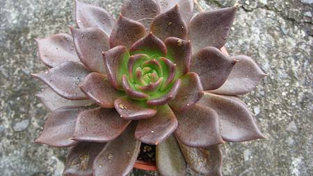 1128 (5).JPG 1128 (5).JPG