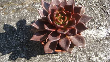 1218 (1).JPG 1218 (1).JPG