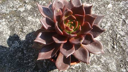 1218 (2).JPG 1218 (2).JPG