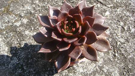 1218 (3).JPG 1218 (3).JPG