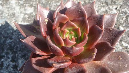 1218 (9).JPG 1218 (9).JPG