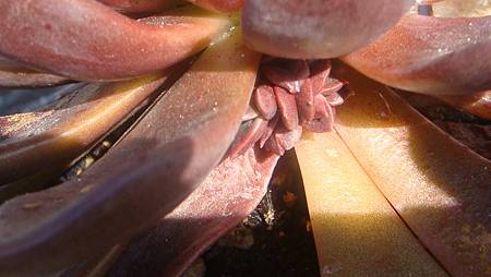 1218 (10).JPG 1218 (10).JPG