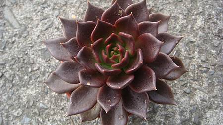 1229 (2).JPG 1229 (2).JPG