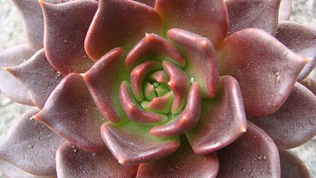 1229 (4).JPG 1229 (4).JPG