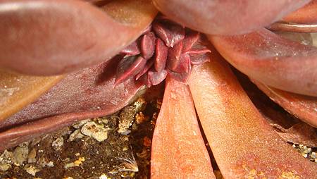 1229 (6).JPG 1229 (6).JPG