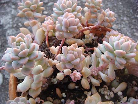 0102 (1).JPG 0102 (1).JPG