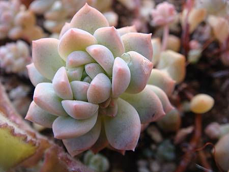 0102 (2).JPG 0102 (2).JPG