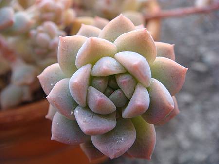 0102 (3).JPG 0102 (3).JPG