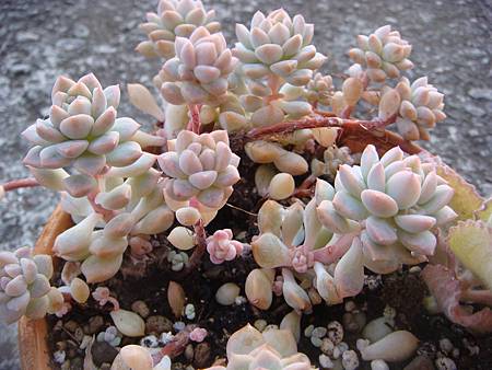 0102 (4).JPG 0102 (4).JPG