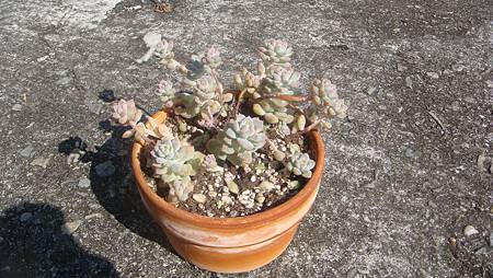 1218 (1).JPG 1218 (1).JPG