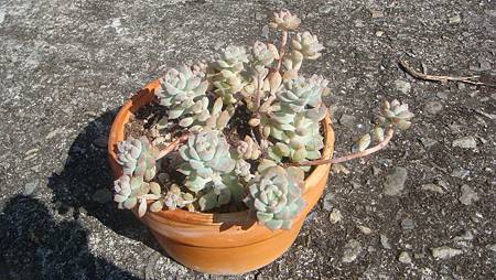 1218 (2).JPG 1218 (2).JPG