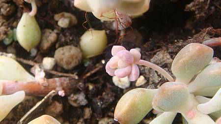 1229 (2).JPG 1229 (2).JPG