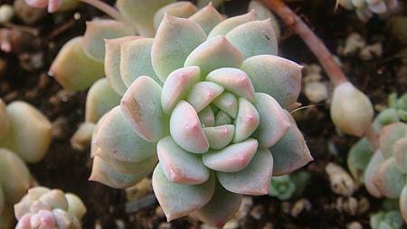 1229 (3).JPG 1229 (3).JPG