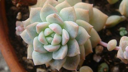 1229 (4).JPG 1229 (4).JPG