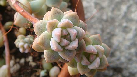 1229 (5).JPG 1229 (5).JPG