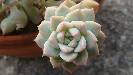 1229 (6).JPG 1229 (6).JPG