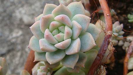 1229 (7).JPG 1229 (7).JPG